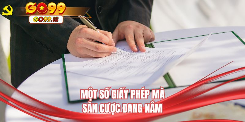 Một số giấy phép mà sàn cược đang nắm